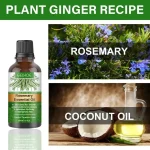 Rosemary Essential Oil for Hair Growth