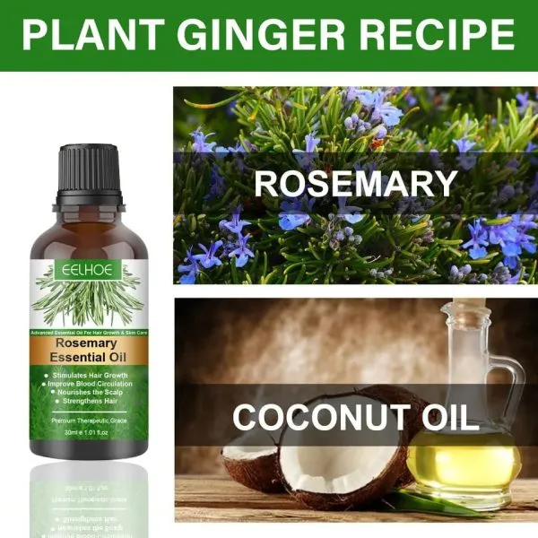 Rosemary Essential Oil for Hair Growth