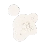 The Ordinary Lactic Acid 10% + Ha With Batch Code (30ml)